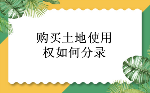 购买土地使用权如何分录