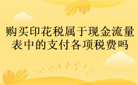 购买印花税属于现金流量表中的支付各项税费吗