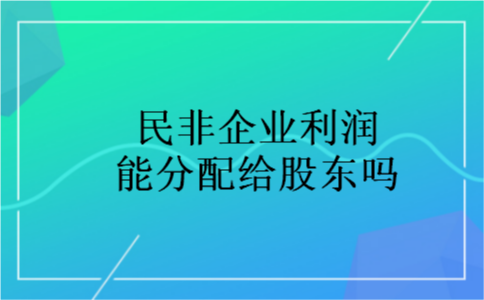民非企业利润能分配给股东吗
