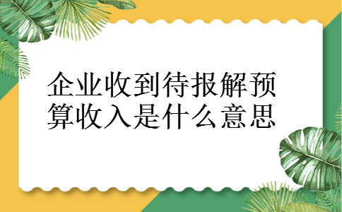 企业收到待报解预算收入是什么意思