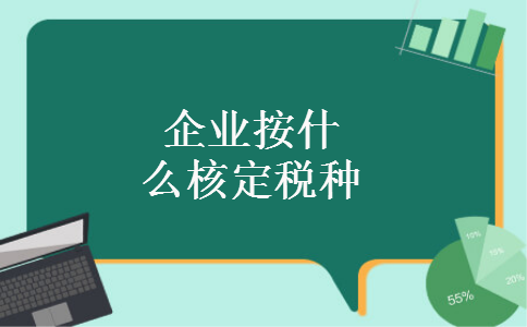 企业按什么核定税种
