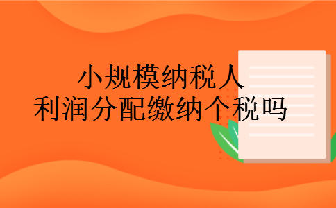 小规模纳税人利润分配缴纳个税吗
