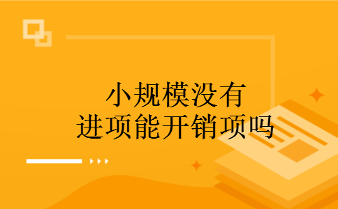 小规模没有进项能开销项吗