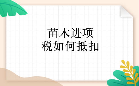 苗木进项税如何抵扣