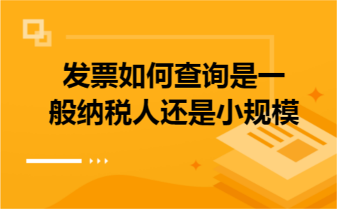 发票如何查询是一般纳税人还是小规模