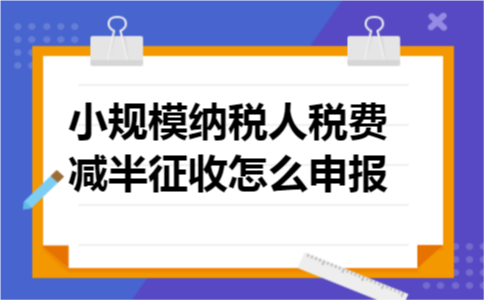 小规模纳税人税费减半征收怎么申报