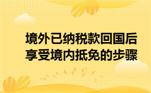 境外已纳税款回国后享受境内抵免的步骤