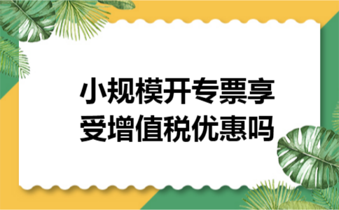 小规模开专票享受增值税优惠吗