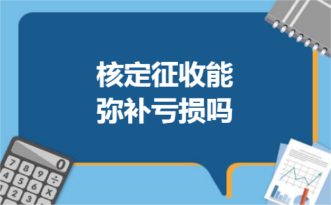 核定征收能弥补亏损吗