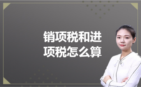 销项税和进项税怎么算