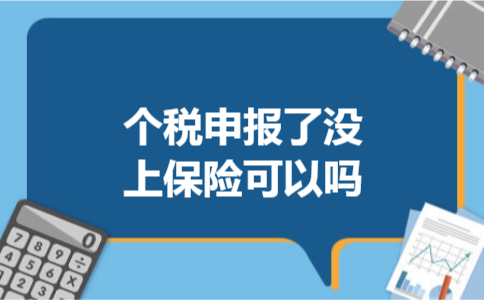个税申报了没上保险可以吗