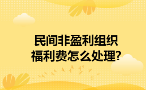 民间非盈利组织福利费怎么处理?