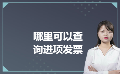 哪里可以查询进项发票