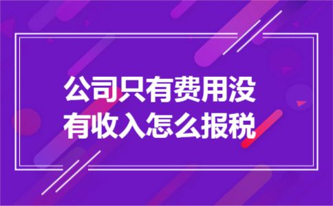 公司只有费用没有收入怎么报税