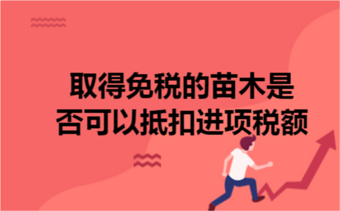 取得免税的苗木是否可以抵扣进项税额