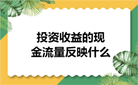 投资收益的现金流量反映什么 投资收益的现金流量反映什么