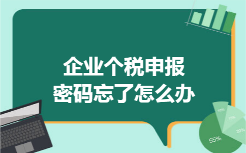 企业个税申报密码忘了怎么办