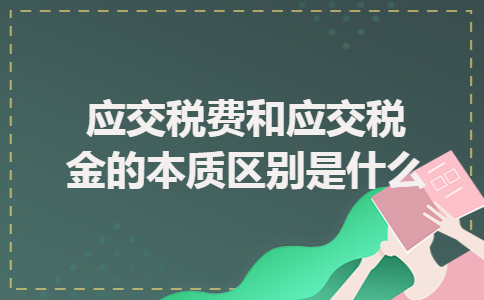 应交税费和应交税金的本质区别是什么 应交税费和应交税金的本质区别是什么