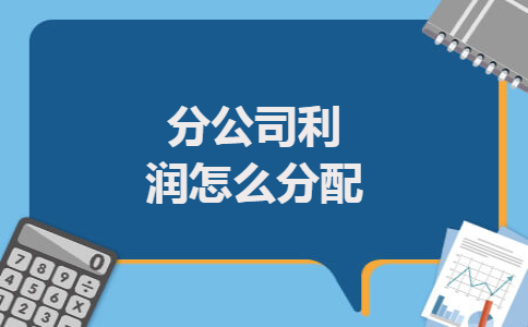 分公司利润怎么分配 分公司利润怎么分配