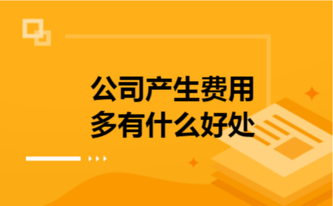 公司产生费用多有什么好处