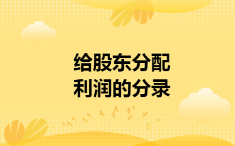 给股东分配利润的分录 给股东分配利润的分录