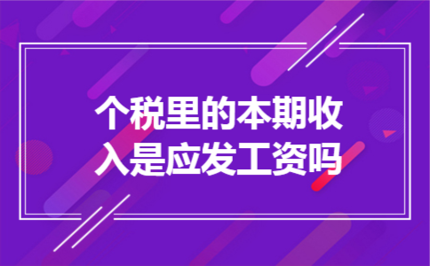 个税里的本期收入是应发工资吗 个税里的本期收入是应发工资吗