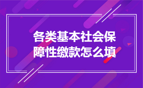 各类基本社会保障性缴款怎么填