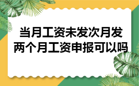 当月工资未发次月发两个月工资申报可以吗 当月工资未发次月发两个月工资申报可以吗