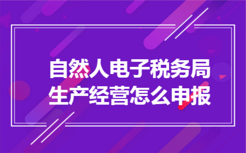 自然人电子税务局生产经营怎么申报
