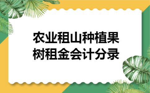 农业租山种植果树租金会计分录