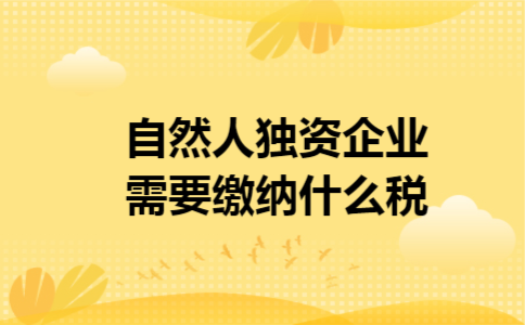 自然人独资企业需要缴纳什么税