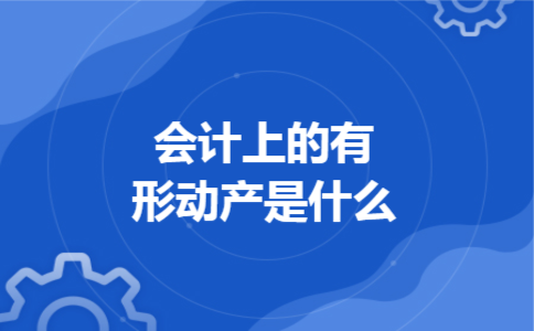 会计上的有形动产是什么