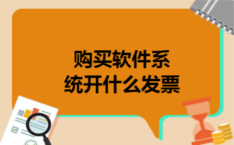  购买软件系统开什么发票