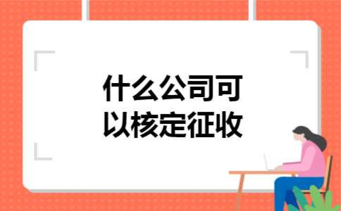  什么公司可以核定征收