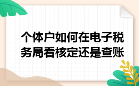 个体户如何在电子税务局看核定还是查账