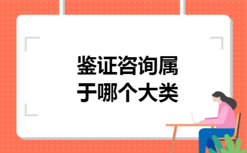 鉴证咨询属于哪个大类