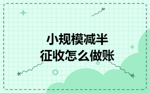 小规模减半征收怎么做账